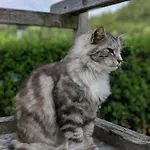 Brettmaisserhof Gasthuis