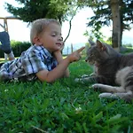 Gasthuis Brettmaisserhof Ternberg