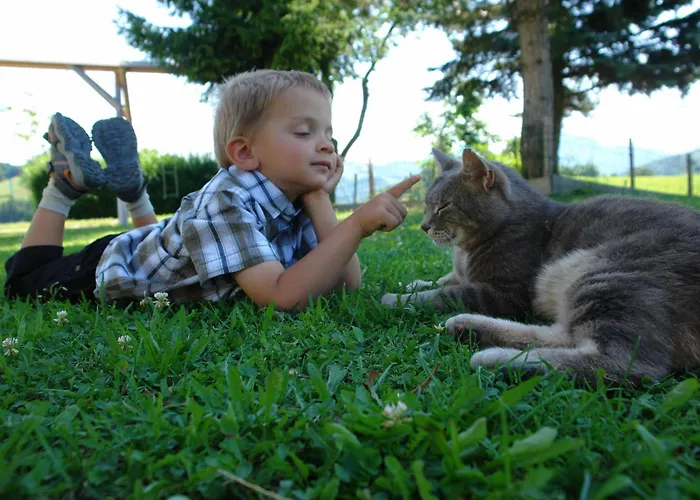 Konukevi Brettmaisserhof Ternberg