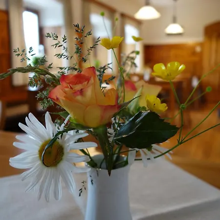 Brettmaisserhof Guest house