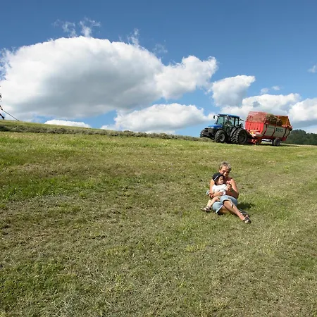 Brettmaisserhof * Ternberg