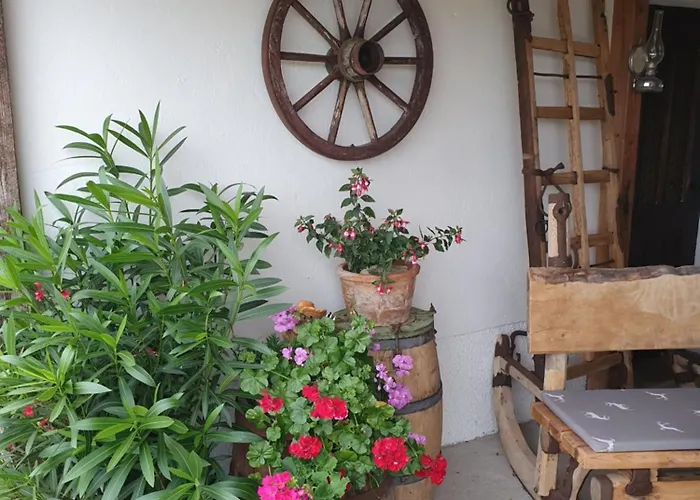 Πανσιόν Brettmaisserhof Ternberg