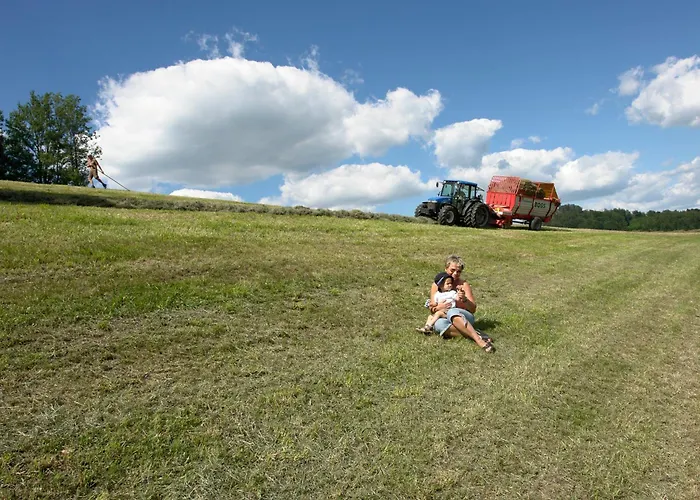 Brettmaisserhof * Ternberg